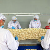 Hat Dieu Nhan Trang Nguyen Lieu Loai Be Doi WS